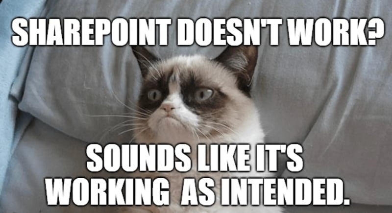 grumpy cat SharePoint meme