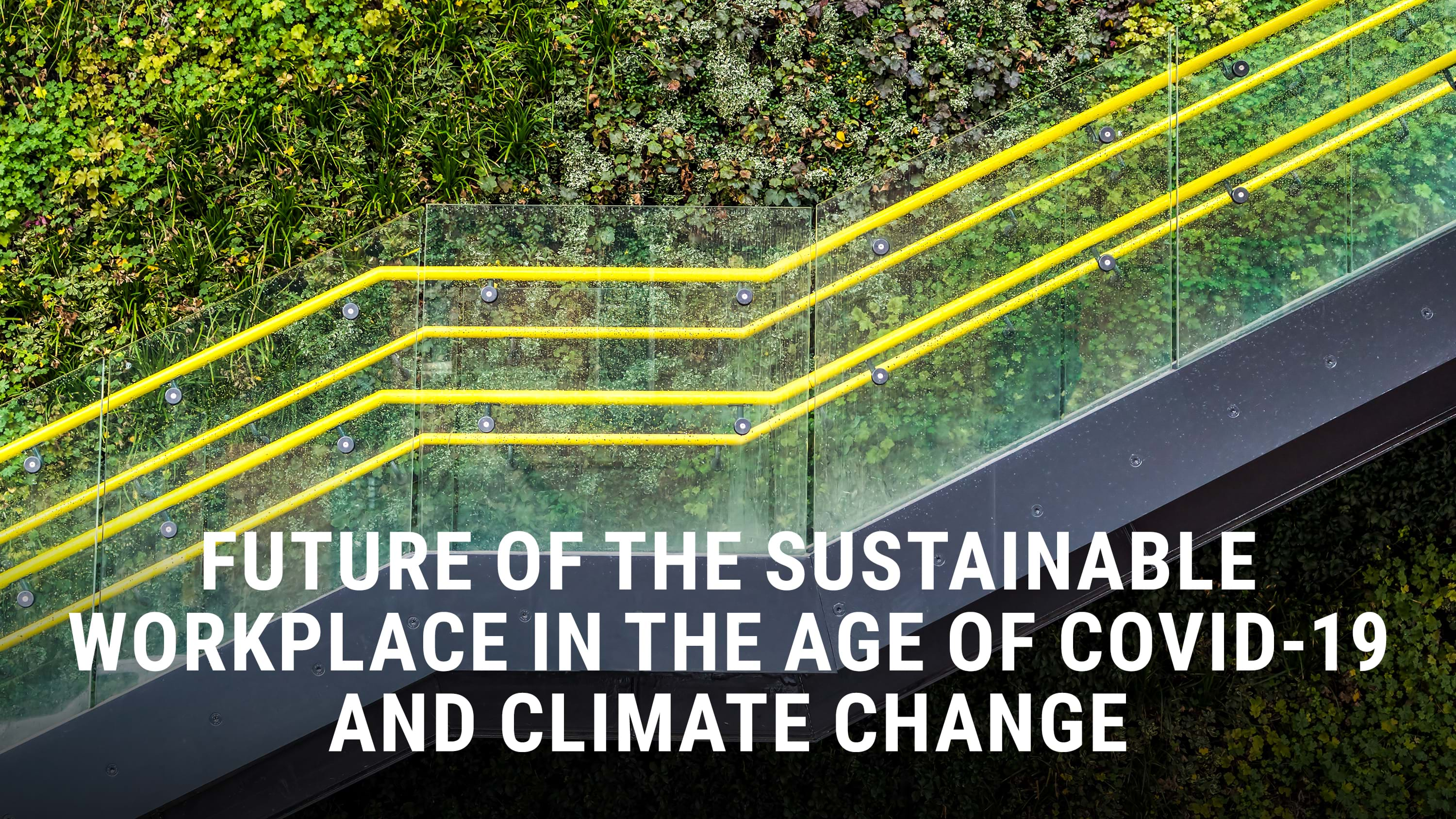 Future Of The Sustainable Workplace Report | Unily